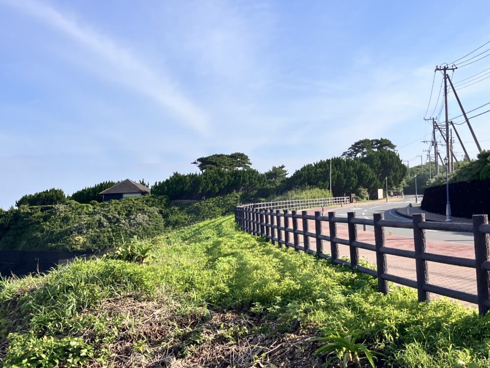 伊豆大島の景色