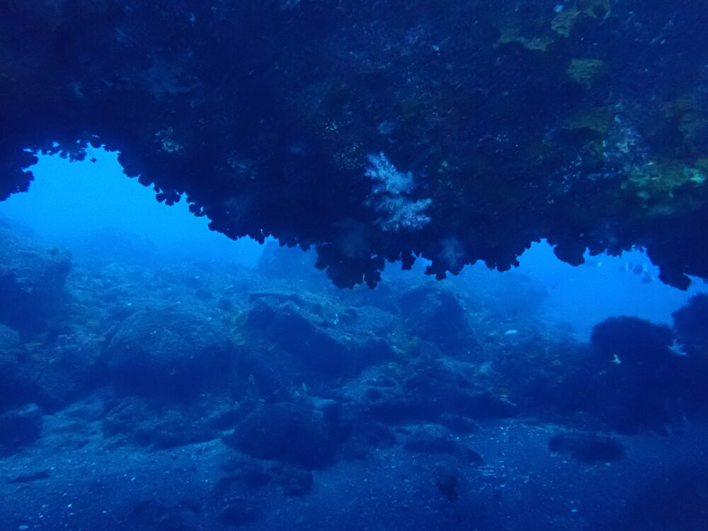 伊豆大島・野田浜の水中アーチ